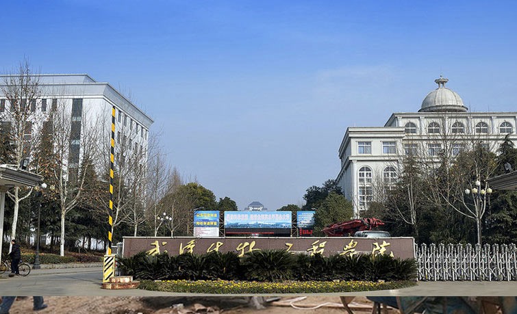 Wuhan Bioengineering Institute